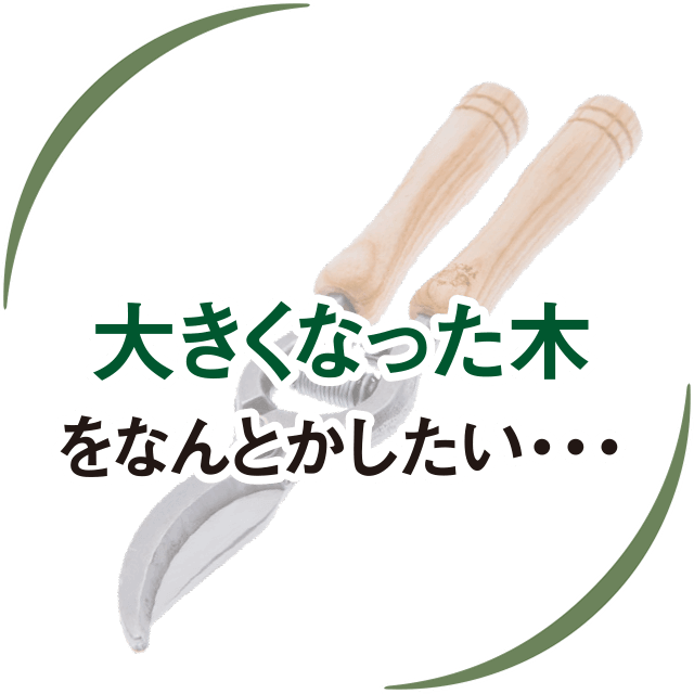 大きくなった木をなんとかしたい・・・