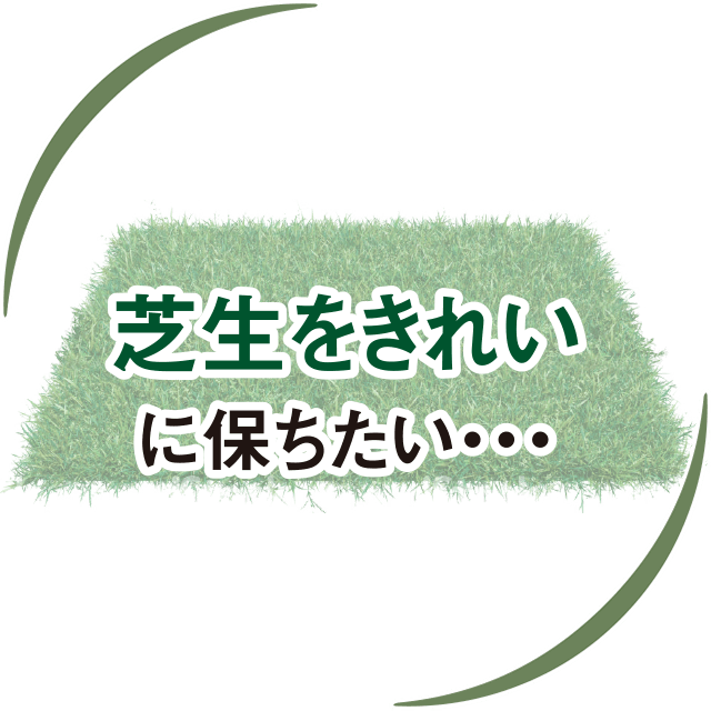 芝生をキレイに保ちたい・・・