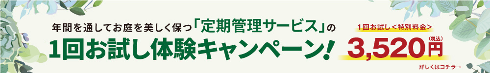 庭木のお手入れお試しキャンペーン